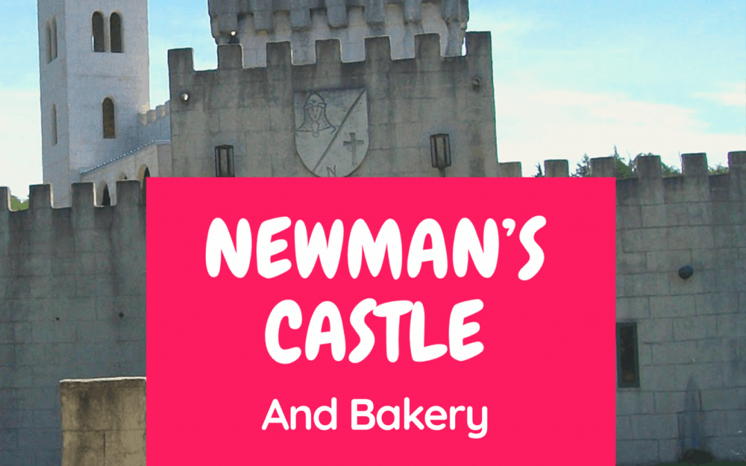 A Hidden Gem Worth The Road Trip – Newman’s Castle