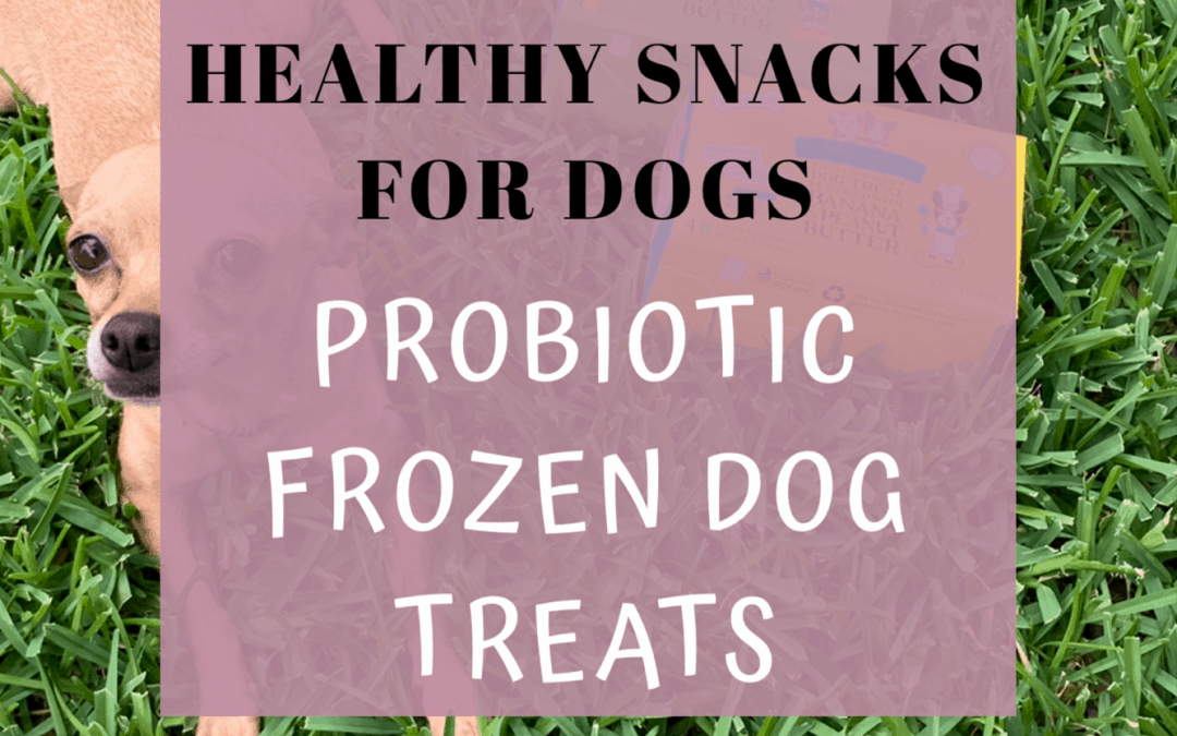 Healthy Snacks For Dogs – Probiotic Frozen Dog Treats