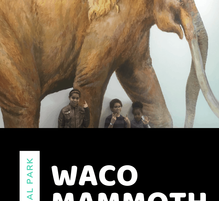 Waco Mammoth Cave History