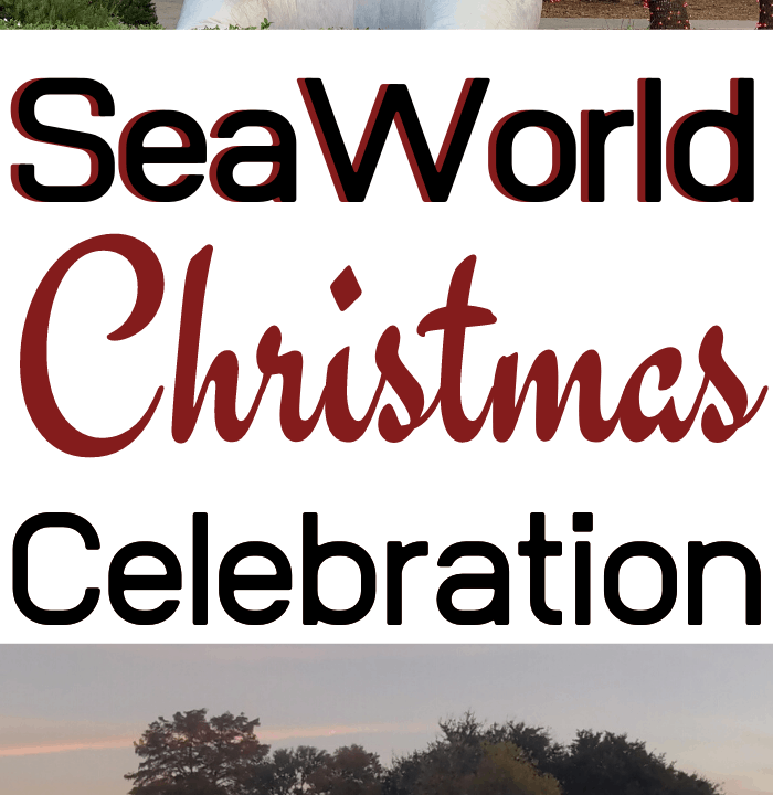 #seaworld #christmas #seaworldsanantonio #seaworldchristmascelebration #texasblogger #sanantonioblogger #blogger #