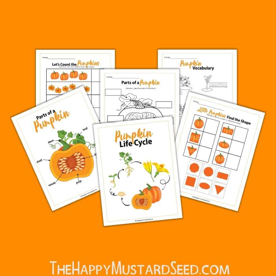 Pumpkin Activity Sheet
Kids Activity Sheet
A printable Fall activity sheet for kids to learn about the life cycle of a pumpkin 