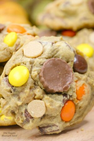 pumpkin chocolate chip cookies