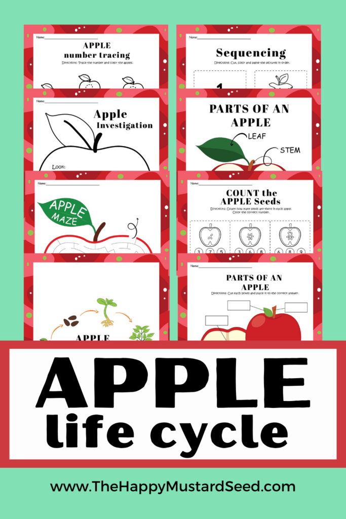 Apple Life Cycle Printables for Kids