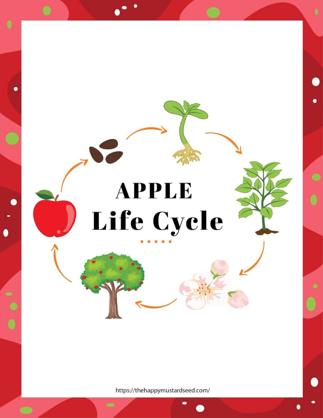 Want your kids to eat more apples? Try our apple worksheets FREE! Eat ...