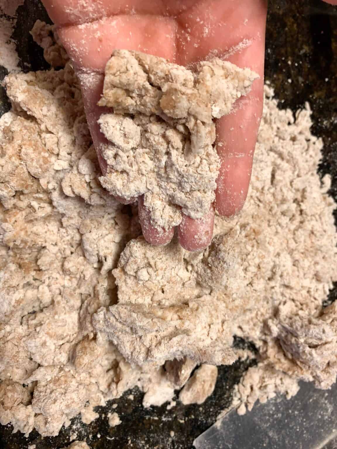 How To Make The Best Sourdough Whole Wheat Tortillas (with honey)