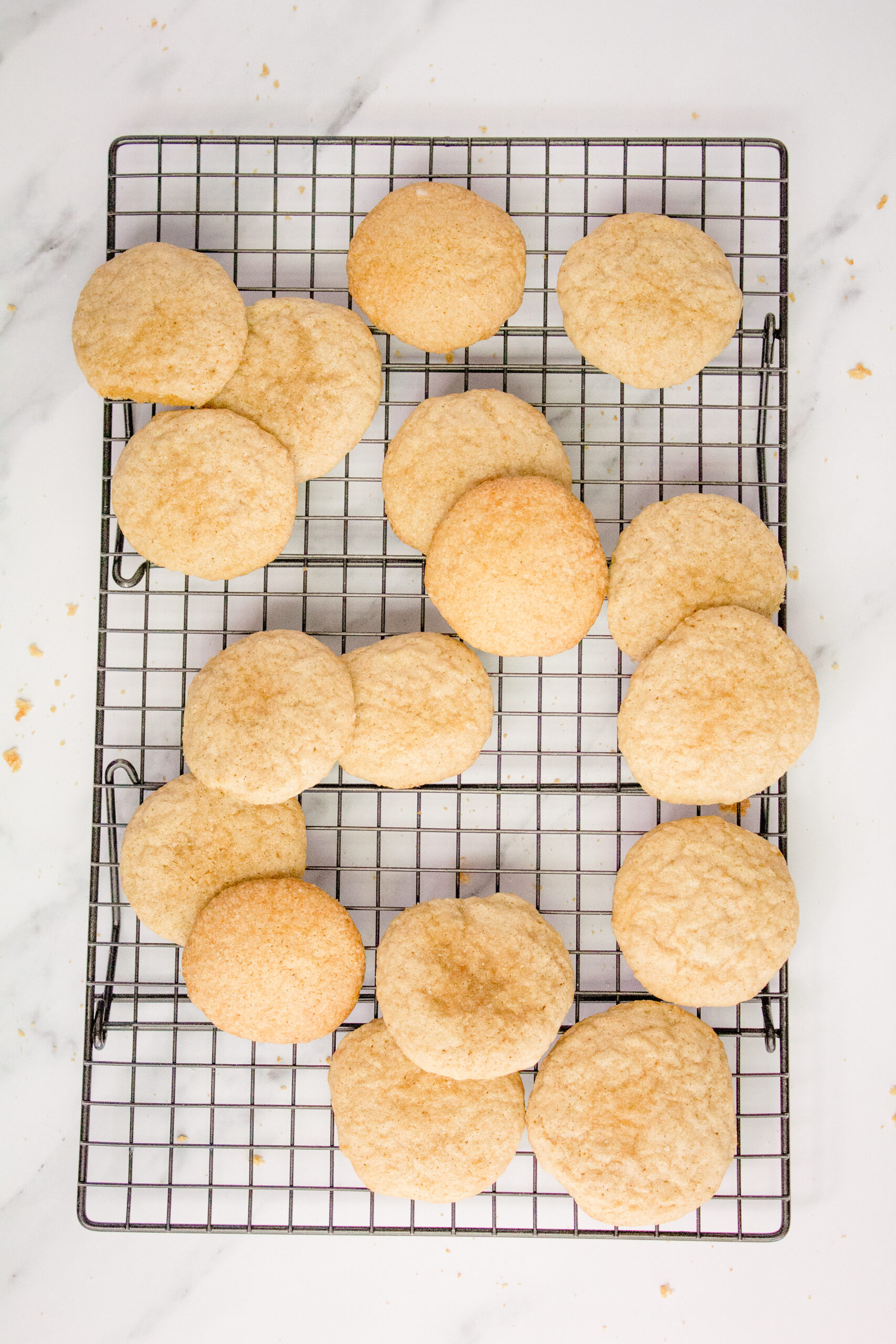 Sourdough Sugar Cookie Recipe - The Happy Mustard Seed