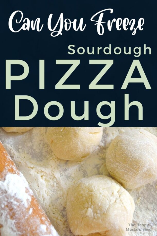 Can you freeze sourdough pizza dough balls the happy mustard seed