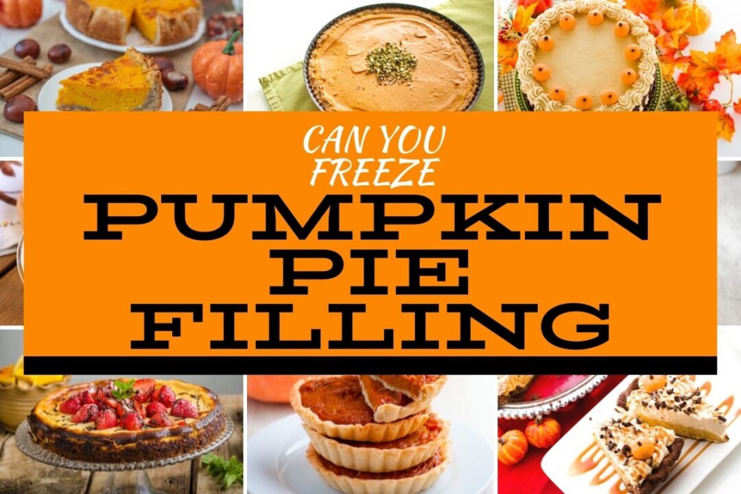 Can You Freeze Pumpkin Pie Filling - The Happy Mustard Seed