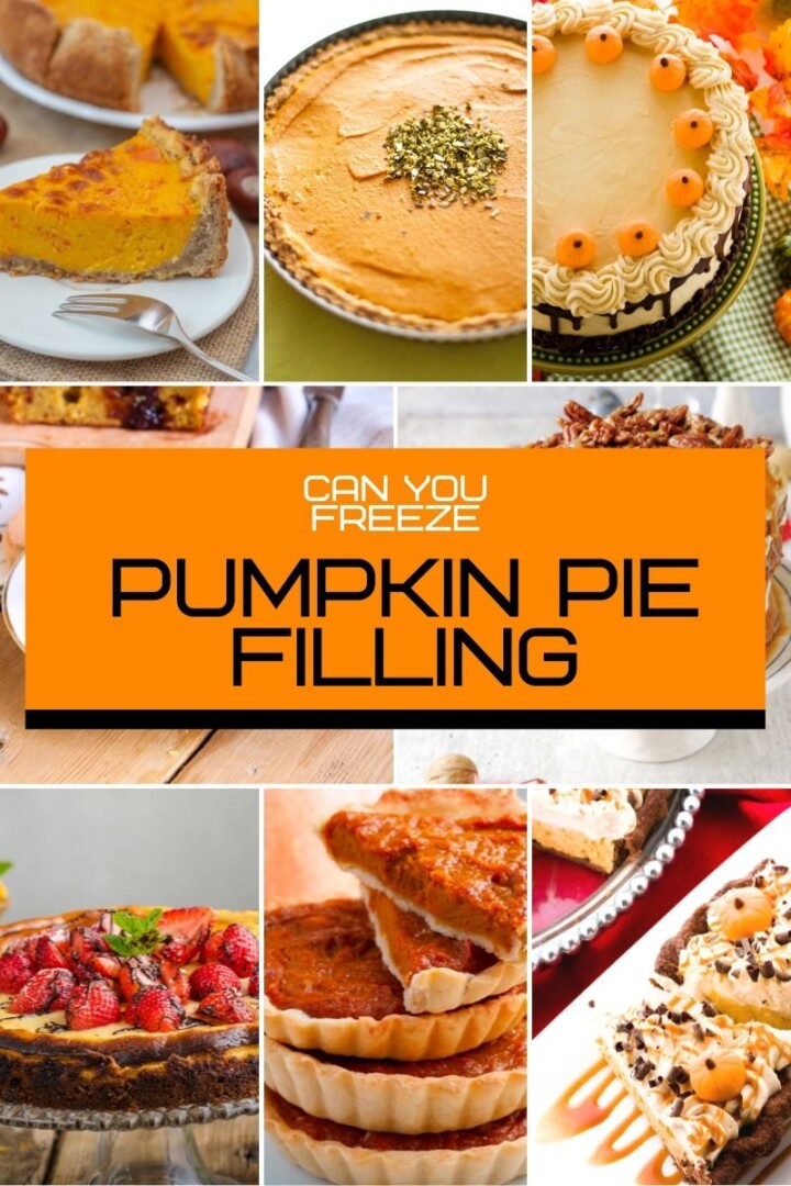 Can You Freeze Pumpkin Pie Filling (800 x 1200)
